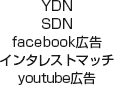 YDN SDN facebook広告 インタレストマッチ youtube広告